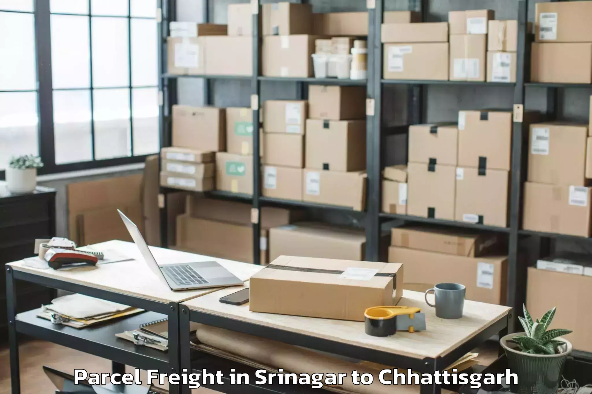 Book Srinagar to Itm University Raipur Raipur Parcel Freight Online